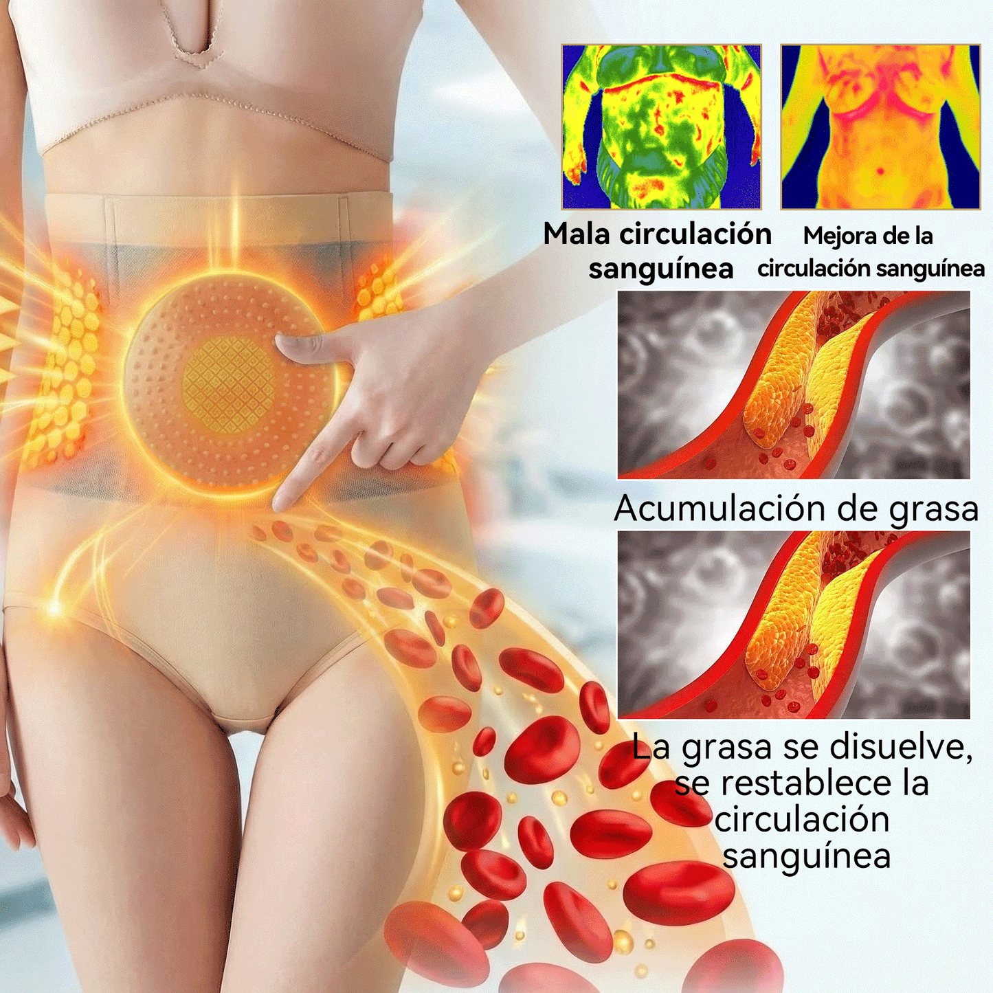🎖️Tienda Oficial PAURAJU® | 🎁2026 Shorts Moldeadores 4 en 1 Quema Grasa con Moringa y Berberina