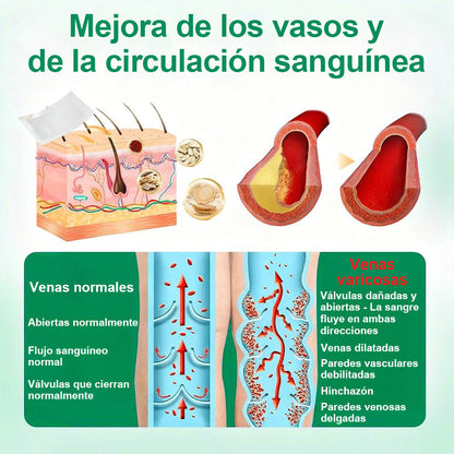 ✨ Healrize® VeinTarget – parche avanzado con microagujas para várices 🔥 96 % de eficacia clínicamente comprobada ✨ Resultados visibles en solo 7–14 días 🌿 Efecto de apoyo suave para piernas más ligeras y relajadas
