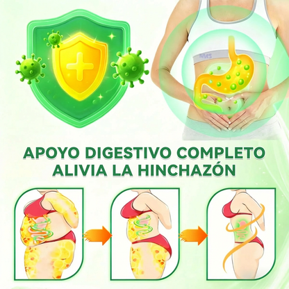 BELLAVORA® Moringa Berberine × NAD Parche 10-en-1 de Nanomicroagujas