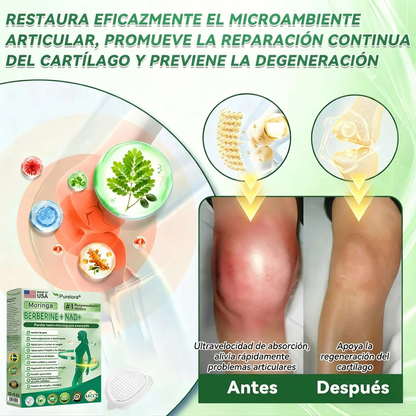 BELLAVORA® Moringa Berberine × NAD Parche 10-en-1 de Nanomicroagujas