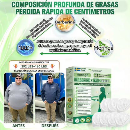 BELLAVORA® Moringa Berberine × NAD Parche 10-en-1 de Nanomicroagujas