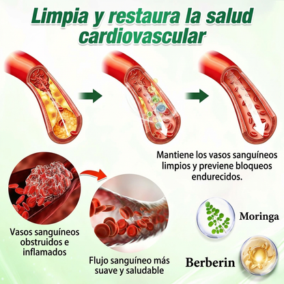 BELLAVORA® Moringa Berberine × NAD Parche 10-en-1 de Nanomicroagujas