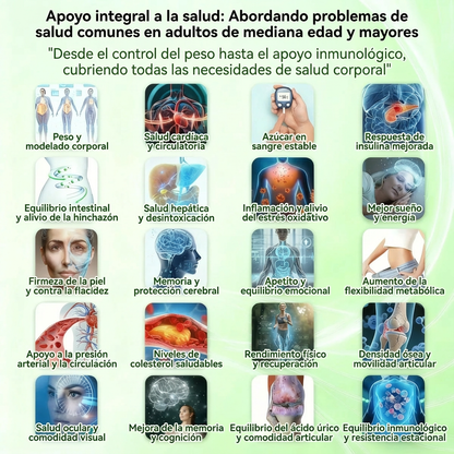 BELLAVORA® Moringa Berberine × NAD Parche 10-en-1 de Nanomicroagujas